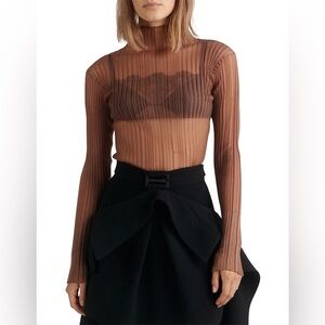 Dion Lee Opacity Pleat Long Sleeve Turtleneck Brown